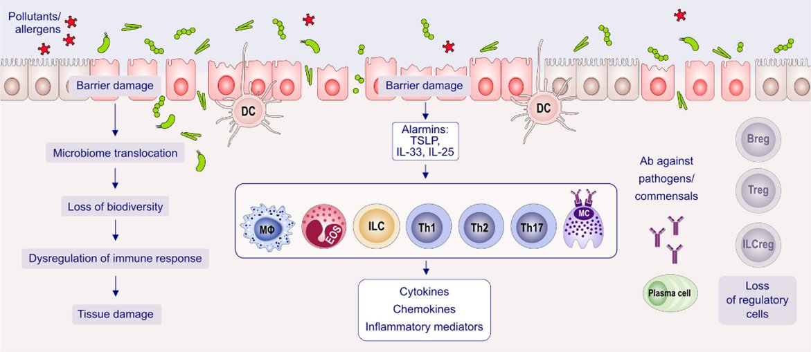 EAACI POSITION PAPER
Nomenclature of allergic diseases and hypersensitivity reactions: Adapted to modern needs: An EAACI position paper
Corresponding authors: Marek Jutel, Ioana Agache, Cezmi Akdis
Read the article here for free: doi.org/10.1111/all.15…

With over 160 references