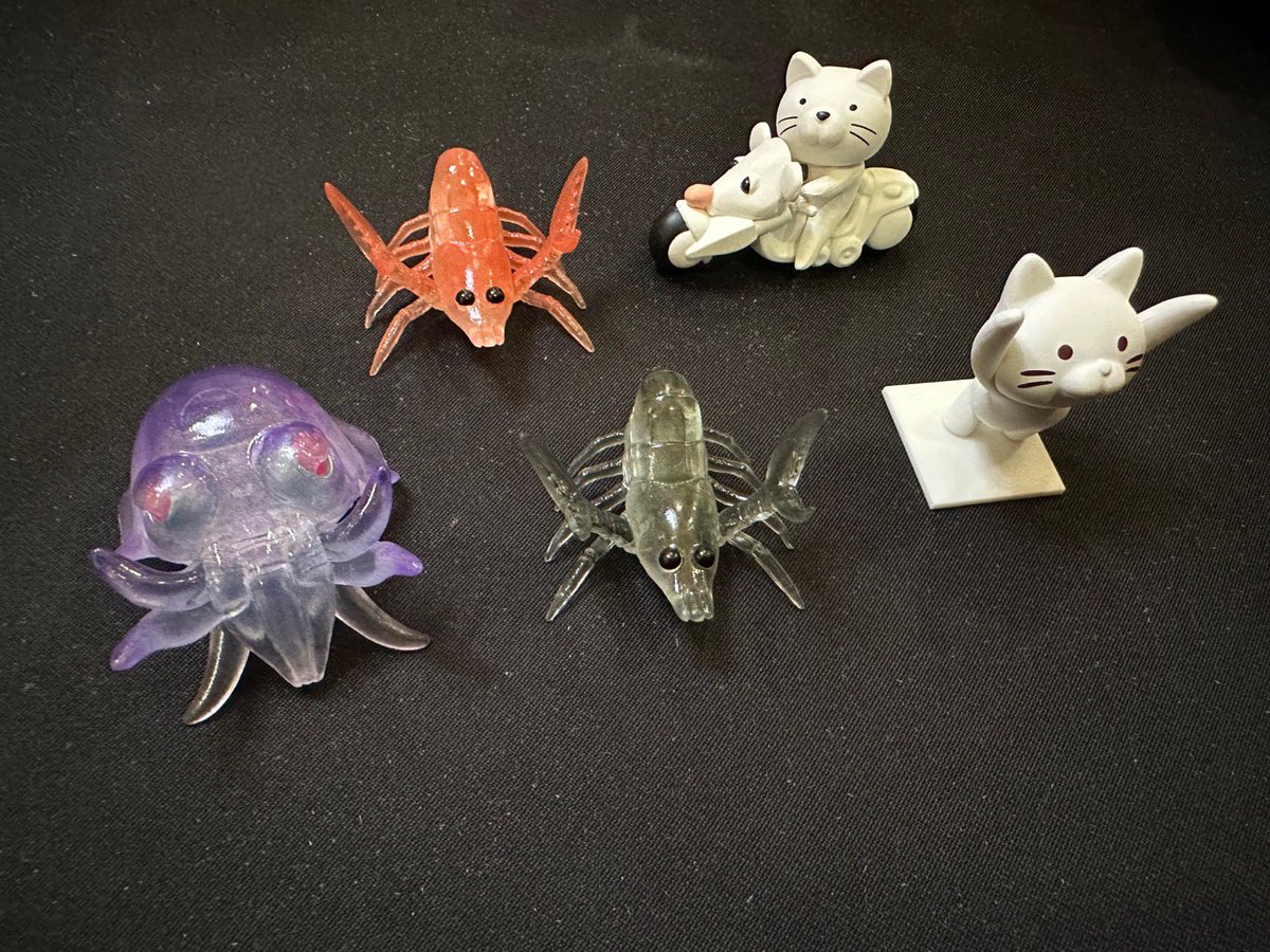 SPACE MANTA 【公式】 (@SpaceManta2023) / Posts / X