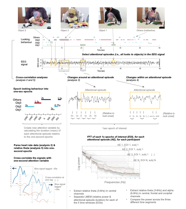 ProfSamWass's tweet photo. Just accepted at eLife! - The neural and physiological substrates of real-world attention change across development @martaperapoch @MarriottIra @EmilyDevNeuro  https://t.co/5nDXmK8ShQ https://t.co/GIlckEVveY