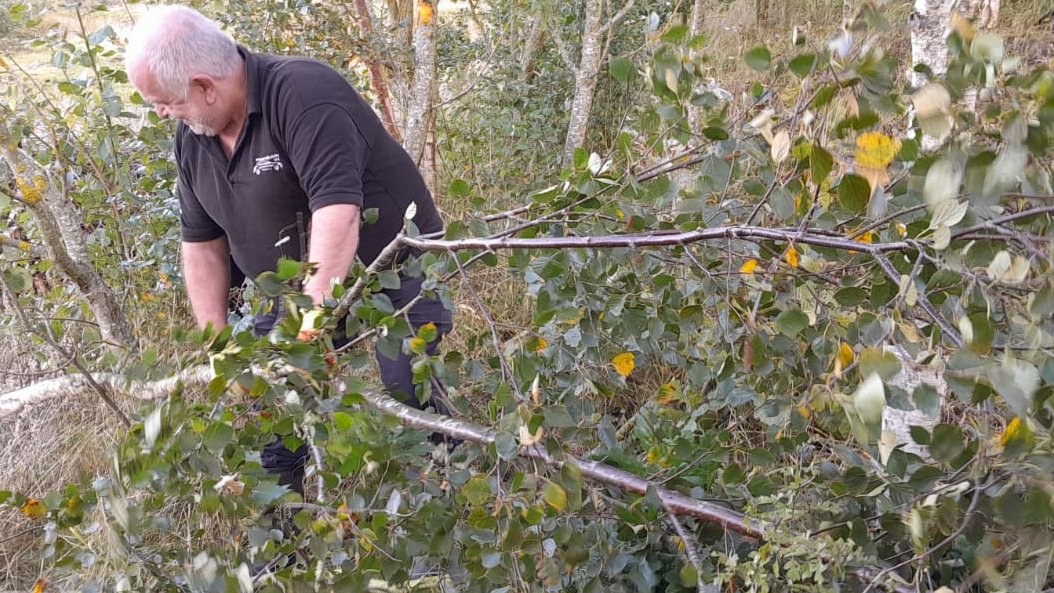 Our #Volunteer team at Lane End are starting to prepare the nature reserve for #Winter. We are thinning out the woodlands while we can still see the leaves. #GreatJob