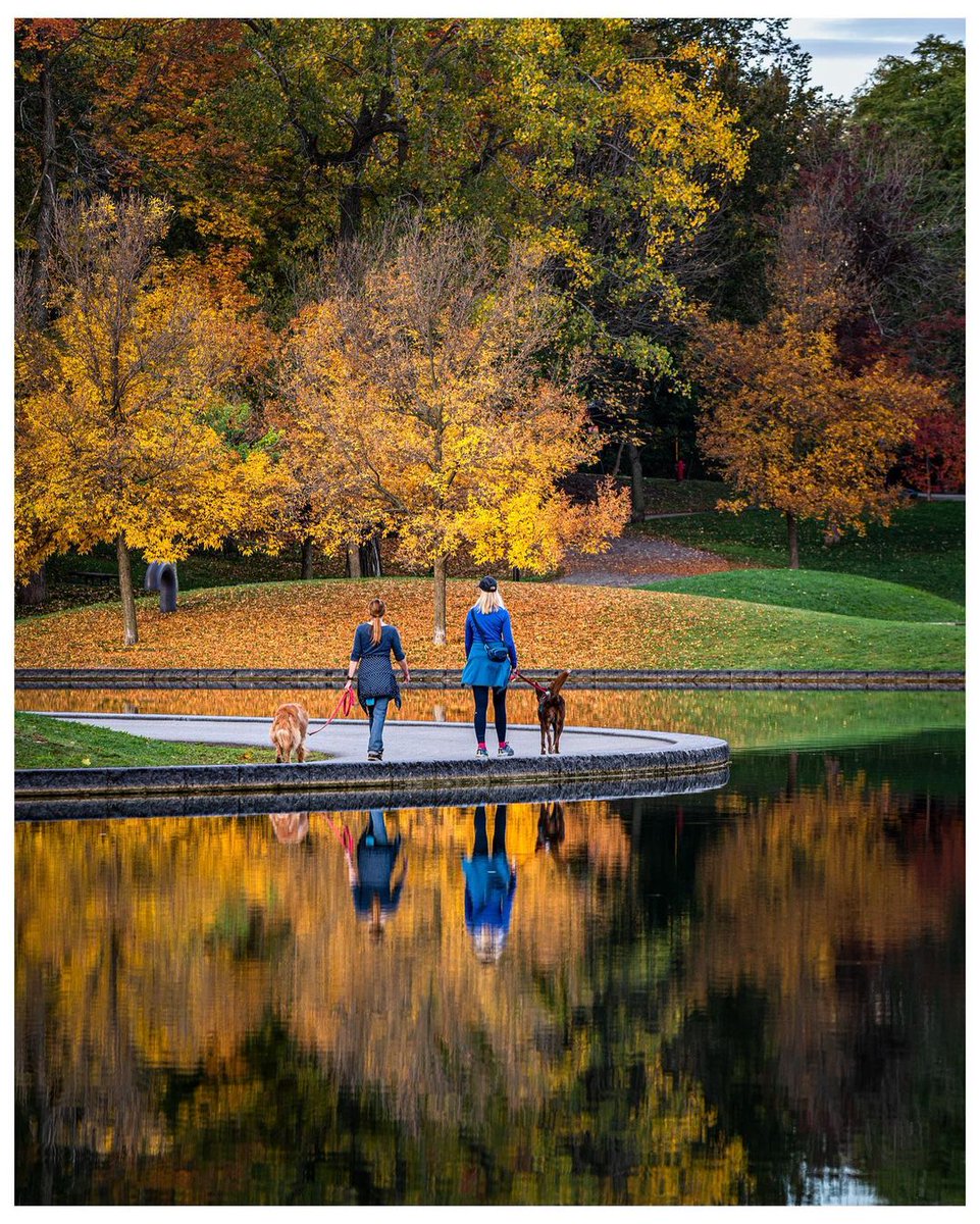 Profiter de l'automne avec nos partenaires de promenade préférés 🐕🍂

📷 arcpixel #Montréal #MTLmoments #PhotoduJour