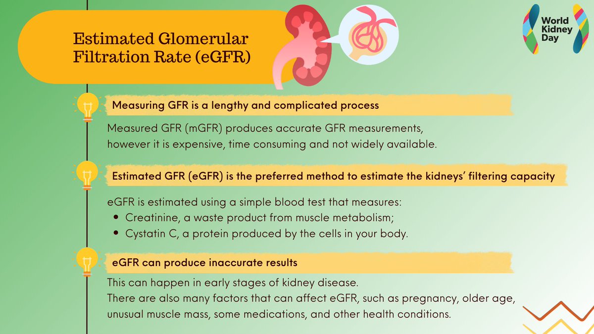💡Do you know what is the most common way for clinicians to evaluate how well the kidneys are filtering? Estimated Glomerular Filtration Rate (eGFR). #eGFR is calculated from blood tests measuring #Creatinine and #CystatinC levels. #WorldKidneyDay