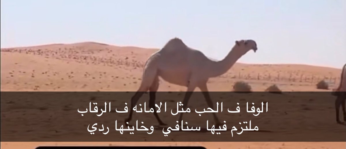 علي العازمي🇸🇦 tweet media