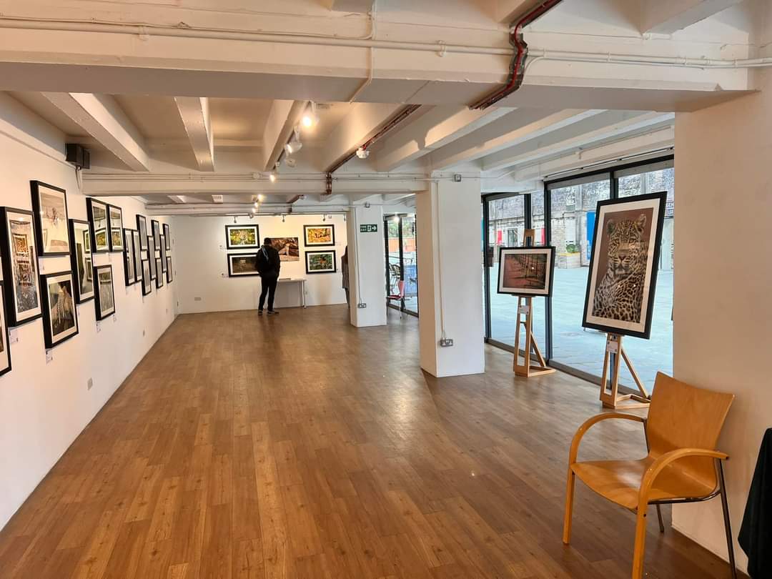 Wild leopards spotted in London! <a href="/RemembrWildlife/">Remembering Wildlife</a>'s exhibition of images from #Rememberingleopards now open at gallery@oxo til 15 Nov. And it's FREE!