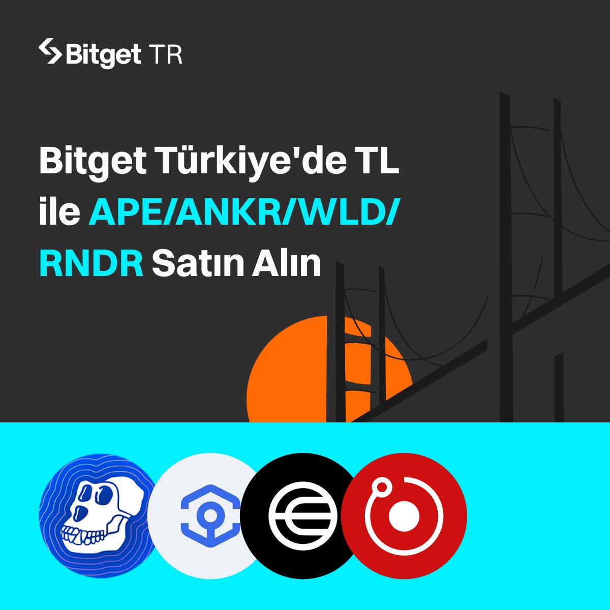 🔥 #BitgetTR'de TL ile $APE, $ANKR, $WLD, $RNDR al-sat işlemleri başladı!

🇹🇷 Kayıt olmak için: bitgettr.com

💠 Detaylar: bitgettr.com/tr/support/art…