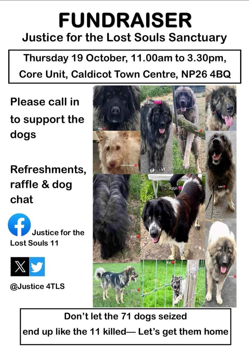 A week today. Why not come along for a cuppa and a chat. It's time to support us and the dogs.  #Caldicot @garethjllewelyn @PeterFox61 @JGriffithsLab @natasghar @EdwardJDavey @DrLisaCameronMP @PaulMatthews67 @monbeacon @MarkDrakeford @DavidTCDavies @PennyMordaunt @maryannbwales