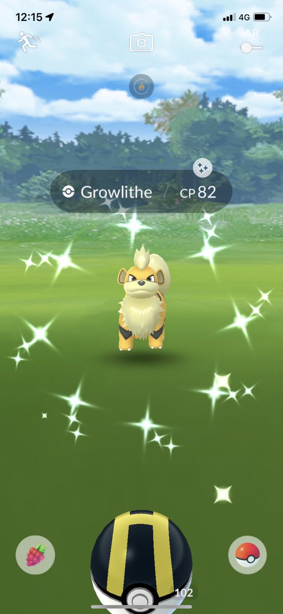 Shiny Growlithe❤️‍🔥✨
色違いガーディをとりました✨🌟