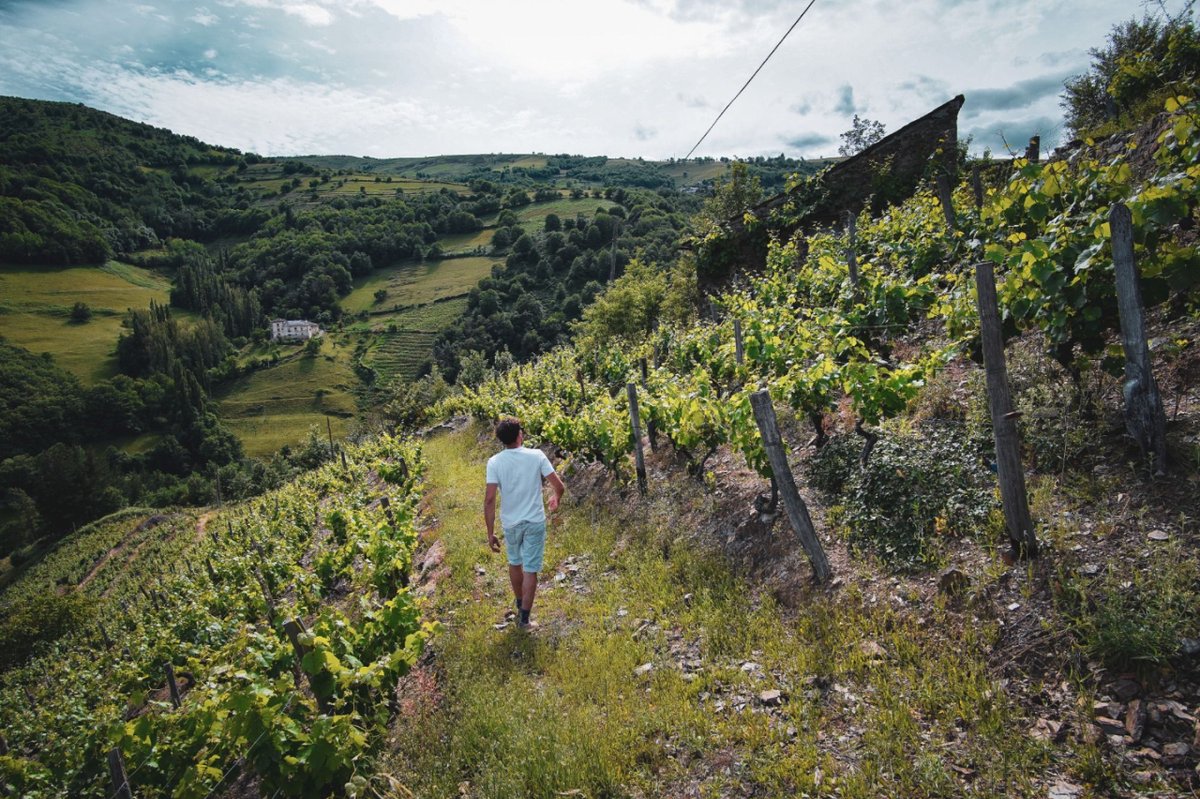 Casa Manunca se ha unido a la tarea de pequeños viticultores de la comarca de Fuentes del Narcea para contribuir al mantenimiento y recuperación del viñedo en Asturias. Con un objetivo claro: Embotellar paisaje.
🍇  wine-merchant.com/epages/WineMer…
#vino #winelover #wine #asturias