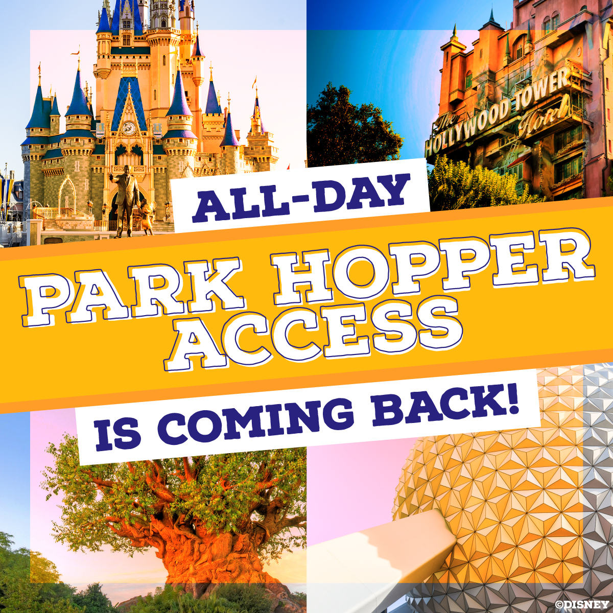 DisneyParks's tweet image. 🚨 IT’S COMING BACK 🚨 All-day Park Hopper Access returns to @WaltDisneyWorld on Jan. 9, 2024 😱 di.sn/6014ur9dE