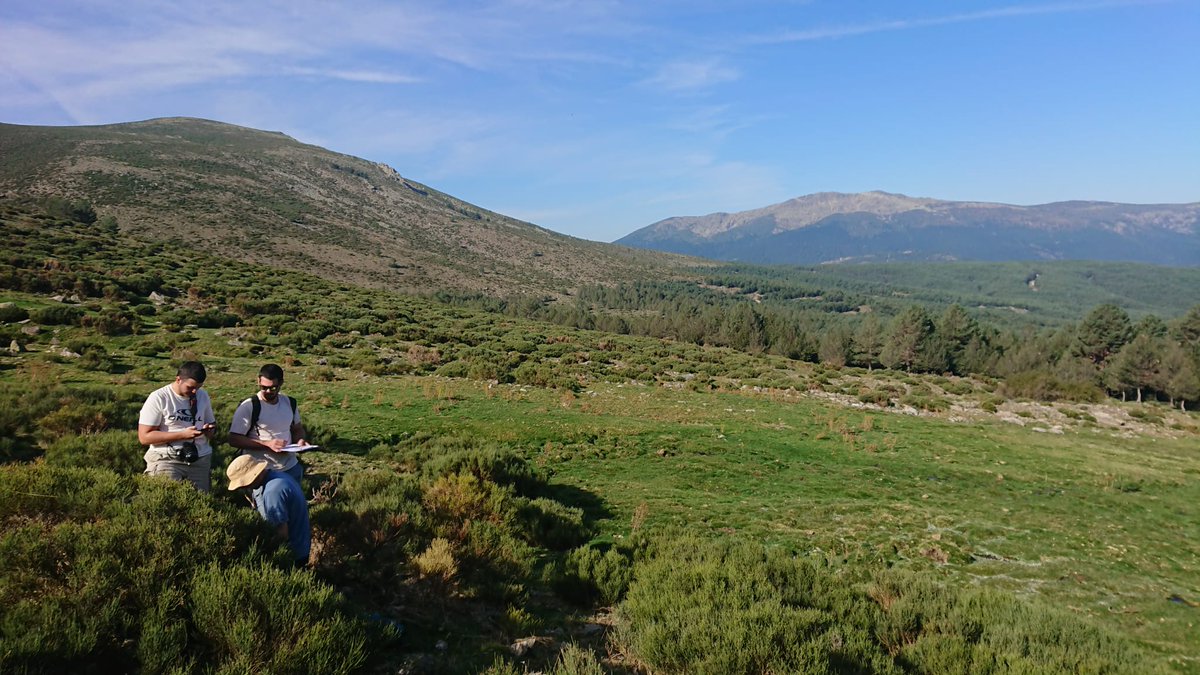 JoeWilliamsonDB's tweet photo. Our tipping points project team in Spain (headed by @RobWilsonMNCN) checked on our microclimatic loggers and took some hemispherical canopy cover images this week 🔥❄️🏔️! Excited to delve into the first batch of data from the confines of my desk @guim_ursul @minglop @adsalbert07 https://t.co/89p3OAUVRx