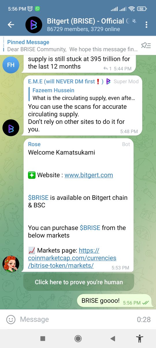 sirohimah63's tweet photo. @TheAGII @bitgertbrise AGII 🚀🚀🚀
Never miss $BRISE journey! 🛸🛸

@inzukun 
@Syahsribm 
@NasreenQiana 

0x9cF400414A8330f2ba4a6D861918dDA4dFA133D7 https://t.co/QnKqwNv5s6