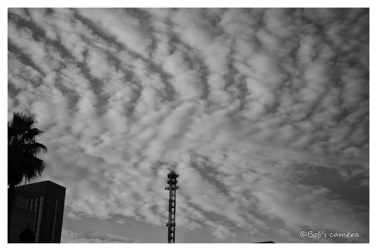 [秋の空] Nikon Z8　　Nikon AF-S NIKKOR 58mm F1.4G akirasofti.exblog.jp/33485499/