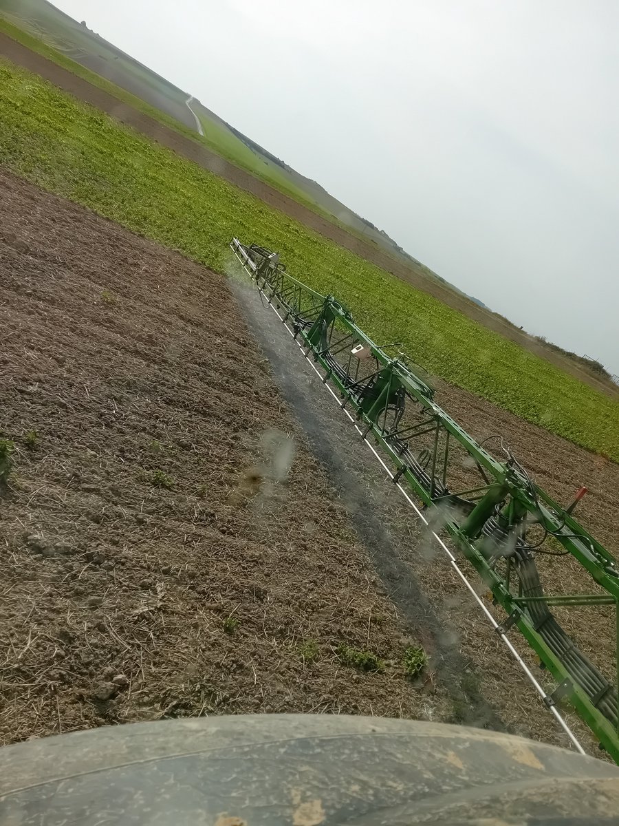 GuyotVincent02's tweet photo. #Tweetlive : application de l'avadex #RIP pour mon essai relay-cropping 🍺 + carré de sucre @_MissBetter @ITBetterave . 

Rien, ni personne ne pourra m'empêcher d'avancer. https://t.co/oiIgBtiI4K