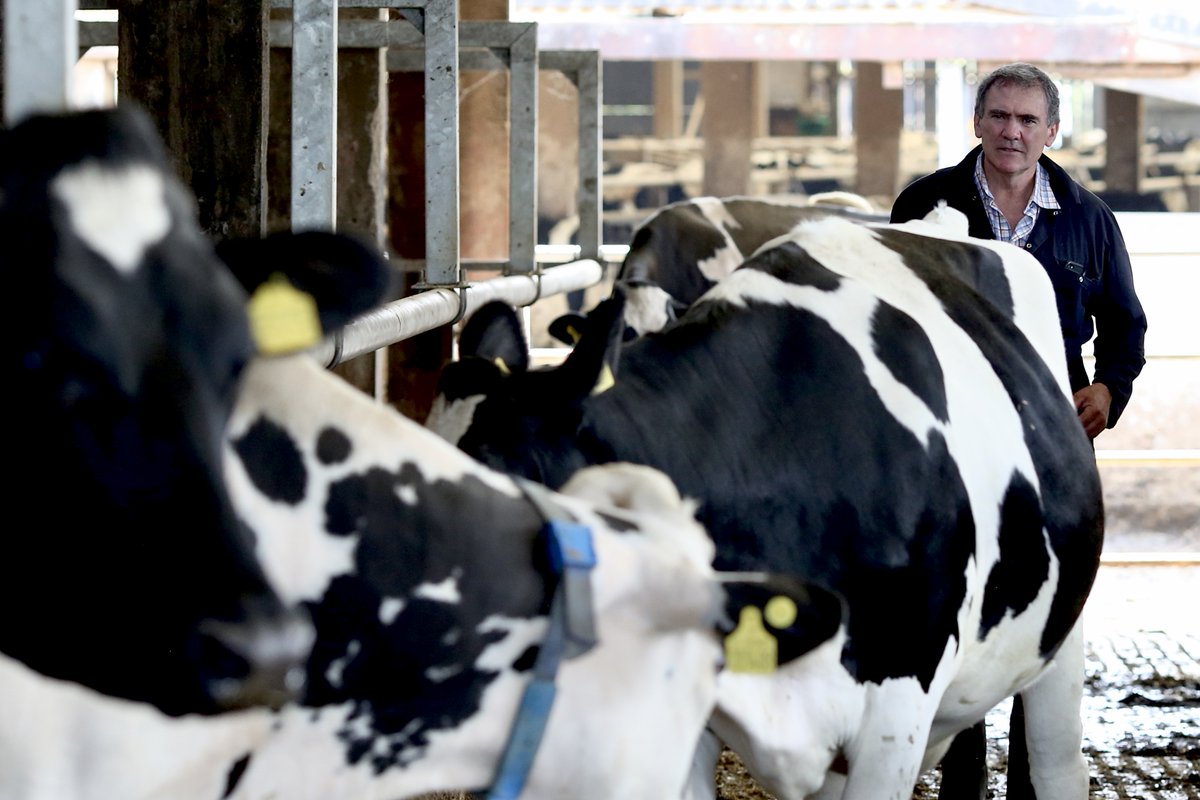 Dairy farming is running on a fuel called 'hope it gets better' and yet the tank is on red

NFU Cymru President Aled Jones has written a blog about the issues facing the dairy industry.

Read more here 👉ow.ly/mAZy50PVvwa