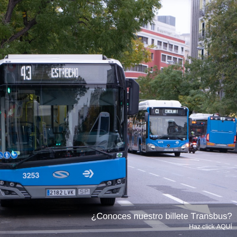 EMTmadrid's tweet photo. ¿Vas a realizar varios viajes en 🚍 en el transcurso de 1h?
Puedes utilizar nuestro billete #TransBUS:
📲 A través de la app #MadridMobility360.
🚌 Permite realizar transbordos entre todas nuestras líneas, excepto la Exprés Aeropuerto.
⌚ En un periodo de 60min.