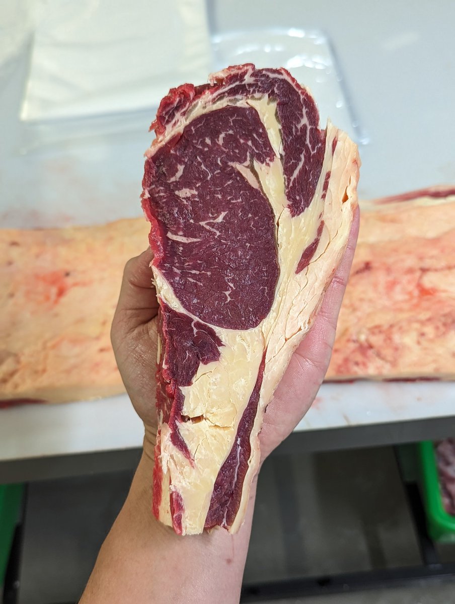 We eat young steer because it's the most efficient for the market, not because it's the best eating.

This is 10 year old cow. Those who know, know!

#beef