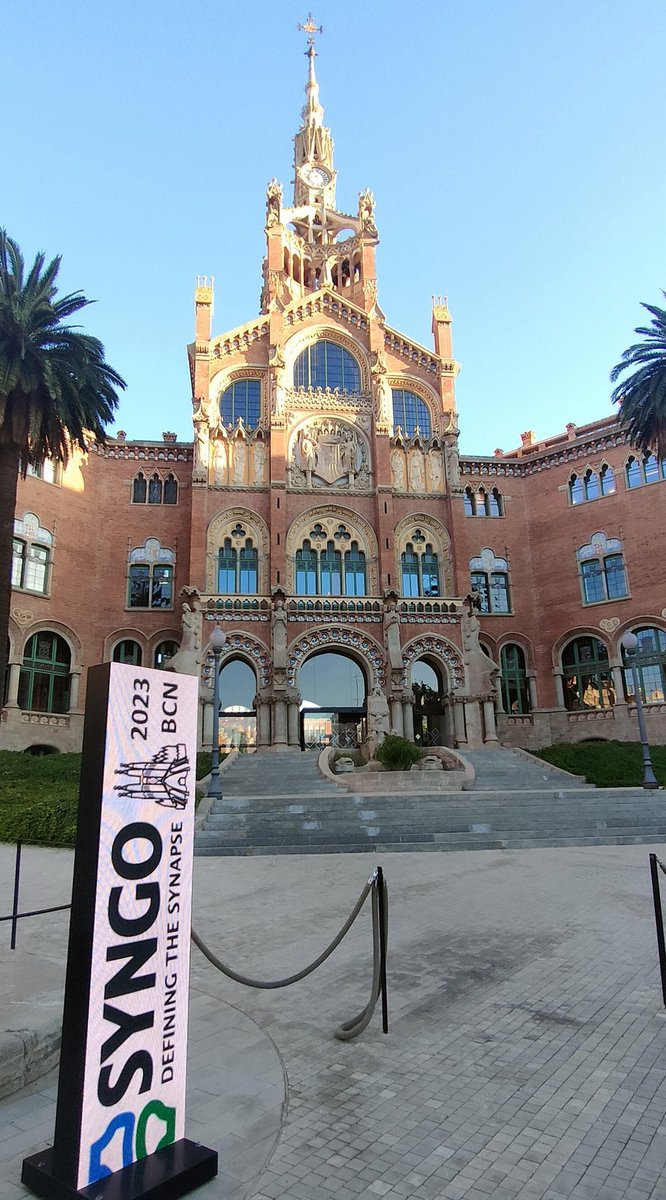 AlbaAlbot's tweet photo. So happy to be able to attend the 2023 #SynGO meeting 👩🔬🧠. This year in this wonderful location @HospitalSantPau of my loved city Barcelona 🥰 Ready to learn and connect 💪✨ #science #synapse #preandpost #ppi @UniBarcelona @IRSantPau @EMBO https://t.co/pvwZXq0s47