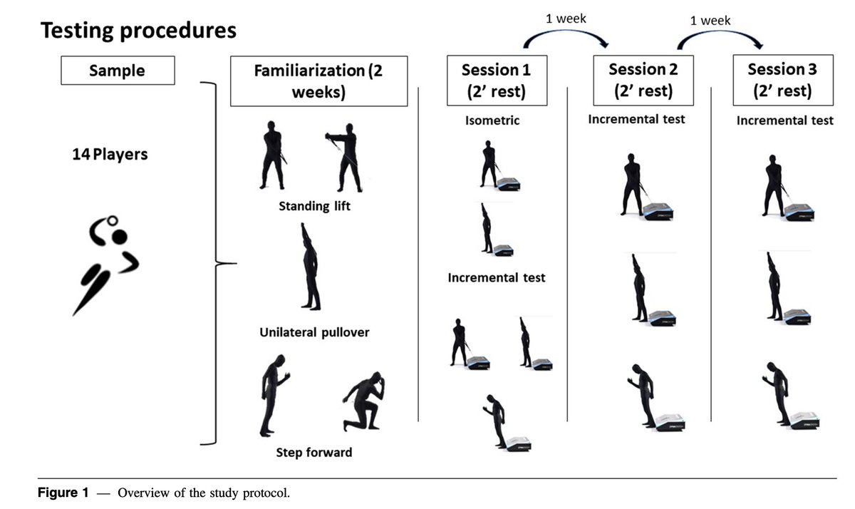 Daniel Jerez-Mayorga, PhD tweet media