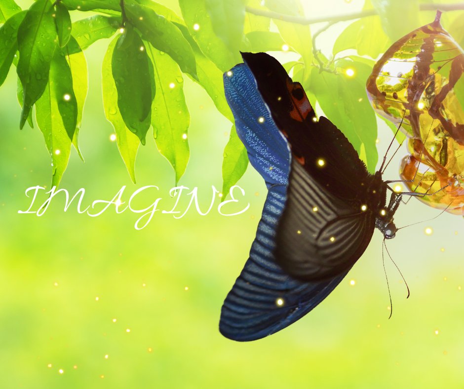 "Metamorphosis has always been the greatest symbol of change for poets and artists. Imagine that you could be a caterpillar one moment and a butterfly the next." - Louie Schwartzberg #metamorphosis #imagine #change #qotd