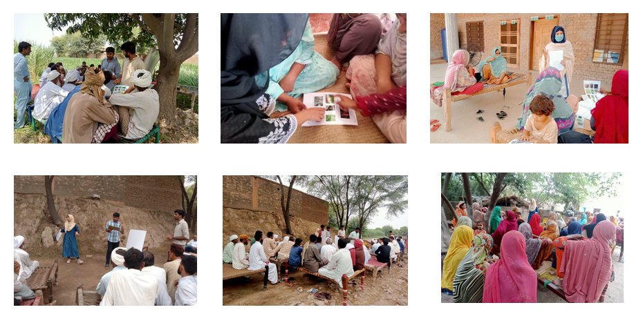 sama_verte's tweet photo. As part of @BCICotton 's Biodiversity Knowledge Partner program,@pilio_group &amp; @sama_verte teams are conducting a baseline of various Flora and Fauna species in cotton-growing areas in South Punjab. 
#Pilio #BCICotton #biodiversity #resarch #SouthPunjab #environmentalawareness https://t.co/fTp7UUdmTS