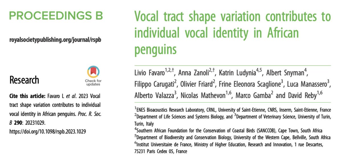 Marco Gamba (@marco_gamba) on Twitter photo The geometry of the human vocal tract is not only a critical component of our speech production but also contributes key features to our individual voice. This is true for penguins, too! <a href="/LivioF_80/">Livio Favaro</a> <a href="/MathevonNicolas/">Nicolas Mathevon @nicolasmathevon.bsky.social</a> royalsocietypublishing.org/doi/epdf/10.10… The geometry of the human vocal tract is not only a critical component of our speech production but also contributes key features to our individual voice. This is true for penguins, too! <a href="/LivioF_80/">Livio Favaro</a> <a href="/MathevonNicolas/">Nicolas Mathevon @nicolasmathevon.bsky.social</a> royalsocietypublishing.org/doi/epdf/10.10…