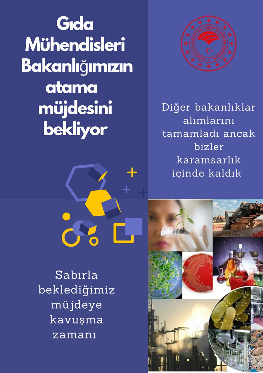 <a href="/farukkilic47/">Faruk Kılıç</a> Sayın Vekilim <a href="/farukkilic47/">Faruk Kılıç</a> Tarım ve Orman Bakanlığına atama bekleyen Gıda Mühendisleri olarak atama talebimizi yinelemek istiyoruz. Gıda Mühendisleri olarak bakanlığımızın sahadaki çalışmalarına destek olmayı, gıda güvenliği denetimlerinde aktif rol almayı arzu ediyoruz.
TOB'a