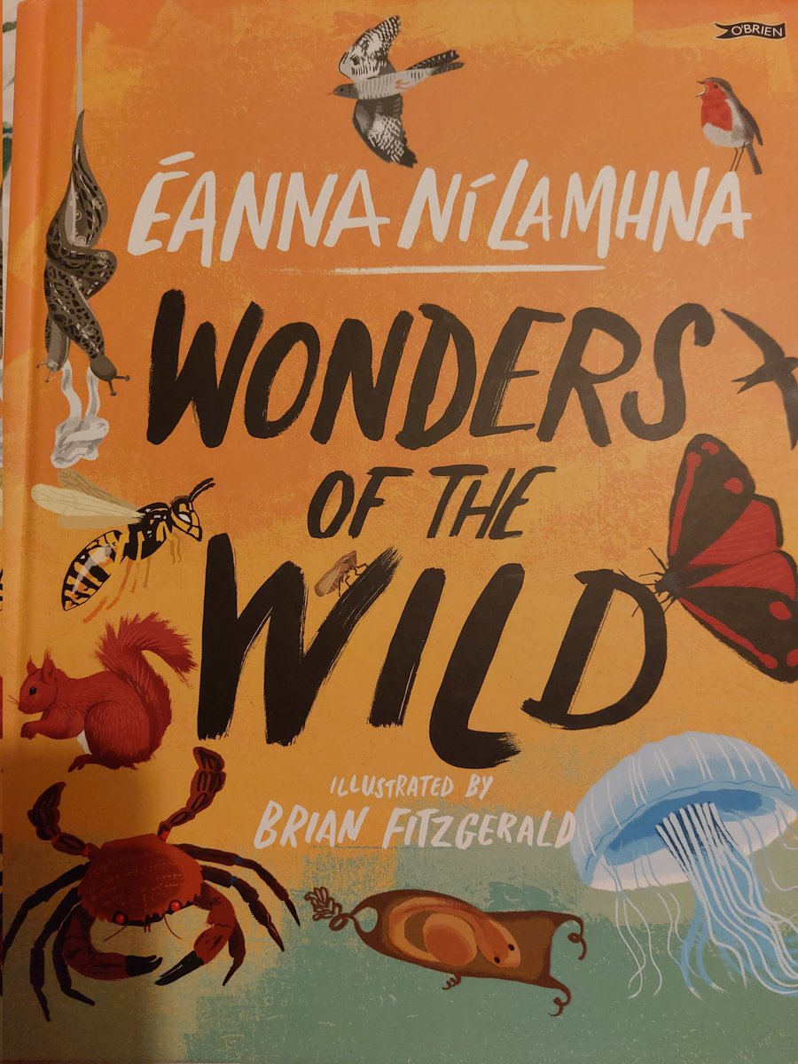 A fantastic and fascinating non-fiction book for today's #DIKBChallenge23 - #WondersOfTheWild by Éanna Ní Lamhna, illo @brianfitzer, published by @OBrienPress! Full of facts, this one is well worth poring over, and it's beautifully produced, too. @rurooie