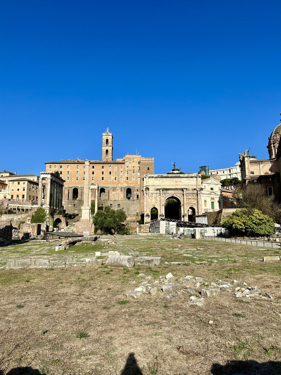 Estas son las mañanas que me gustan.
#ForoRomano
@ParcoColosseo