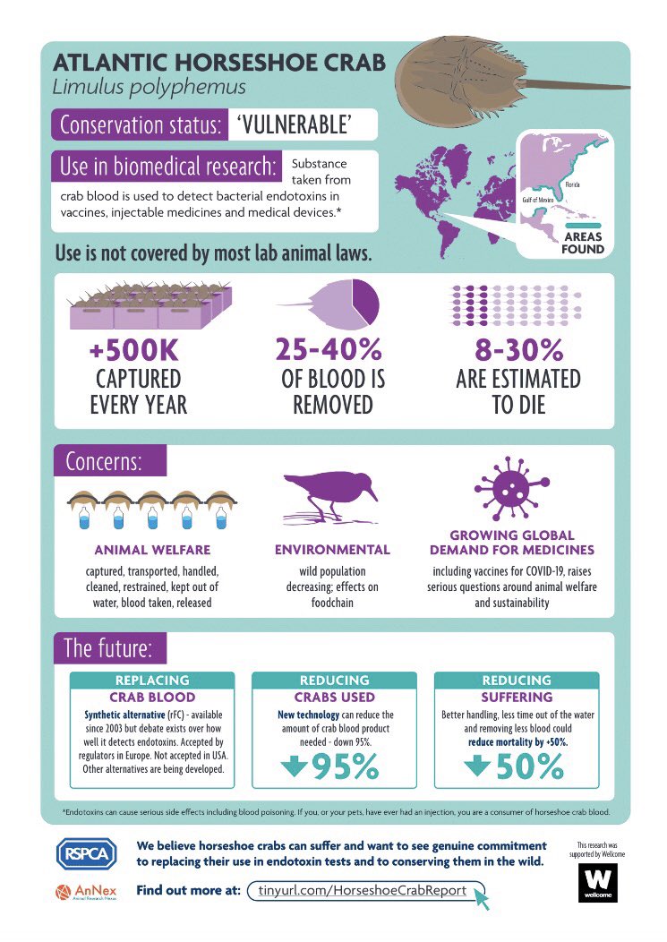 RSPCA - Animals in Science tweet media