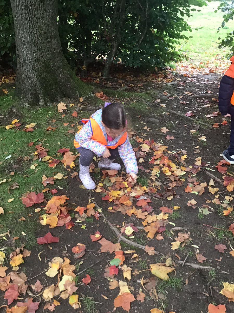 wlbeyc's tweet photo. Autumn walks around our local community “it’s very windy” “leaves falling down” we even spotted a bat box 🦇 “bats are nocturnal” #increasingvocabulary #seasonalchange #beingme #bathgatecommunity https://t.co/y5mMGufiqX