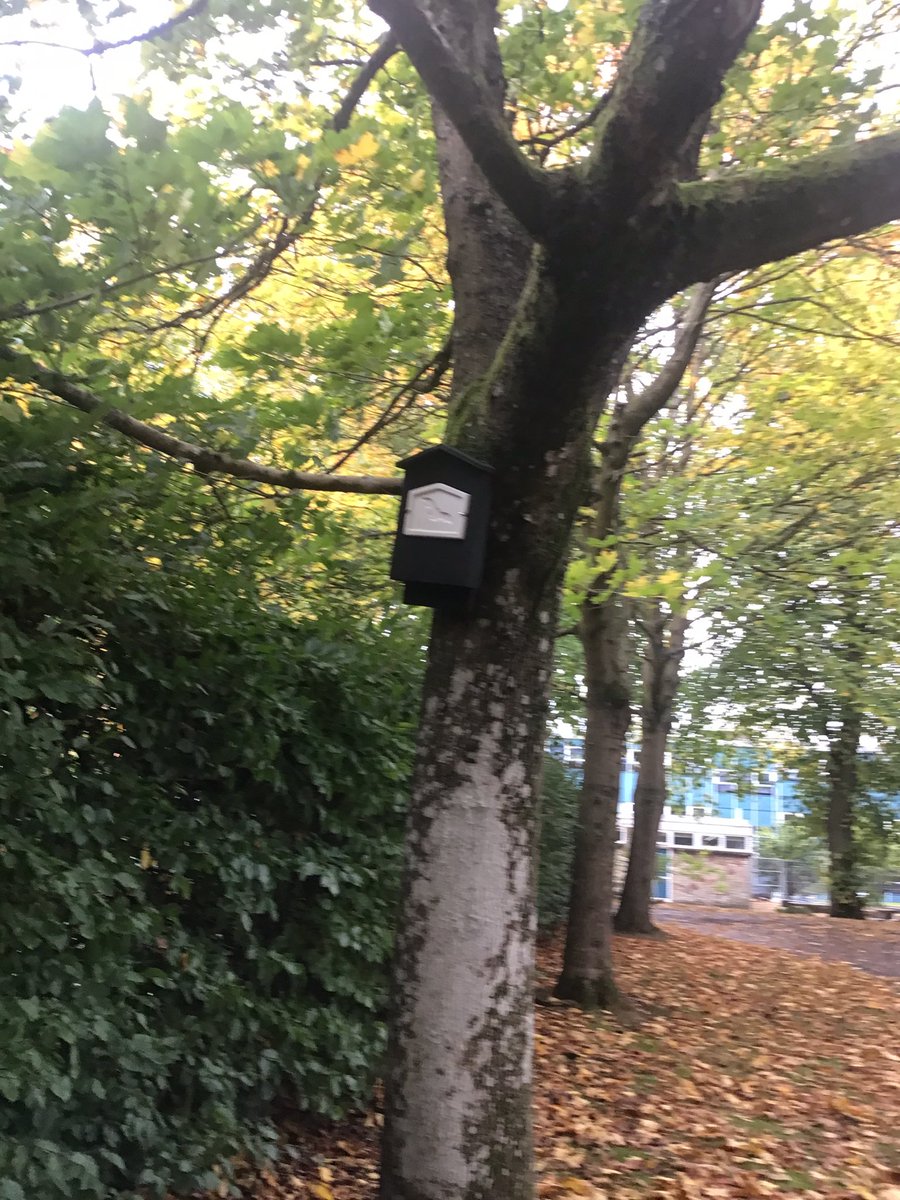 wlbeyc's tweet photo. Autumn walks around our local community “it’s very windy” “leaves falling down” we even spotted a bat box 🦇 “bats are nocturnal” #increasingvocabulary #seasonalchange #beingme #bathgatecommunity https://t.co/y5mMGufiqX