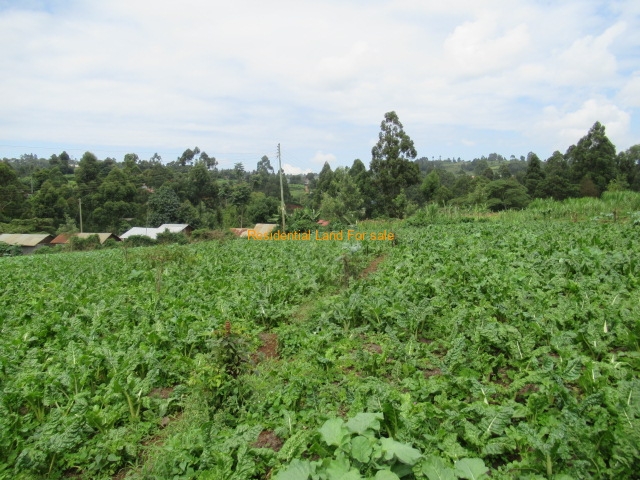SimkarGroup's tweet image. 3.25 Acres Of Land For Sale in Kabocha/Ruku/Wangige

Please see more details on our website using the link below: bit.ly/45lx22k

Call us at 0728 990415 and or +254 773 587 407

#propertiesinwangige   
#Propertiesforsale