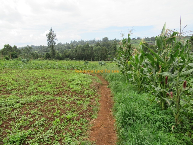 SimkarGroup's tweet image. 3.25 Acres Of Land For Sale in Kabocha/Ruku/Wangige

Please see more details on our website using the link below: bit.ly/45lx22k

Call us at 0728 990415 and or +254 773 587 407

#propertiesinwangige   
#Propertiesforsale