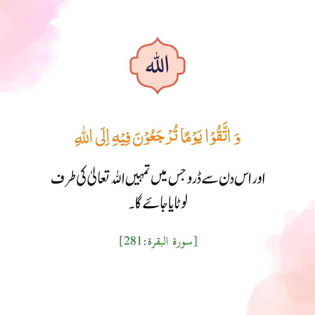 Gain followers 
#BP_G #BBN 
@950nk 
<a href="/Q_261/">👑 𝑄𝑢𝑒𝑒𝑛 👑</a> 
<a href="/1fzall/">فـضـ𝓐𝓴𝓫𝓪𝓻ل</a> 
<a href="/1AZMo/">𝐌𝐆 𝐚𝐳𝐢𝐳𝐮𝐦 💞</a> 
@1bhti 
<a href="/1nuzk/">Nazu Khan 💞</a> 
<a href="/A_d533/">Ahmad Bhatti</a> 
<a href="/0_zenu/">HOORAIN</a> 
@_A_shh_ 
<a href="/BP_G_/">زیمل فاطمہ</a> 
<a href="/_nb26/">Nadeem Ur Rehman</a> 
<a href="/28_pti/">ARHAM_PTI28</a> 
@_Esha_2 
<a href="/2Sehr/">🕊️𝕊ᴇʜᴇʀ 𝔹ᴜᴛᴛ🕊️ᴾᵃᵏᴾᵒʷᵉʳ</a> 
<a href="/Znt33/">🦋ZêēñäT</a> 
@pdk703 
<a href="/_jan00/">ᒎᗩᑎᗩᑎ♡</a> 
<a href="/_paro1/">𝐐𝐮𝐞𝐞𝐧_קαг𝑜♡</a>
<a href="/PtiS_/">SHAHID (ACCOUNTS PROMOTER)</a>
@Pk50K
<a href="/Arif1q/">✪𝐀ʀɪғ 𝐀ʟᴠɪ✪</a>
@uzK77t
<a href="/imkushi1/">Khushi Malik</a>
<a href="/PTI_277/">arham</a>
<a href="/khnii_/">DREAM GIRL</a>
<a href="/Faa__27/">KAMLI_KURRI</a>
<a href="/Ghz97/">✪𝗚𝖍𝖆𝖟𝖆𝖑𝖆𝖍 𝗦𝖆𝖉𝖆𝖋✪</a>
@NewSoch23
<a href="/JunaidA7371/">🇧🇫😍ɉ⩏⩎♬ɨᖱ ᖰƬɨ😍🇧🇫</a>