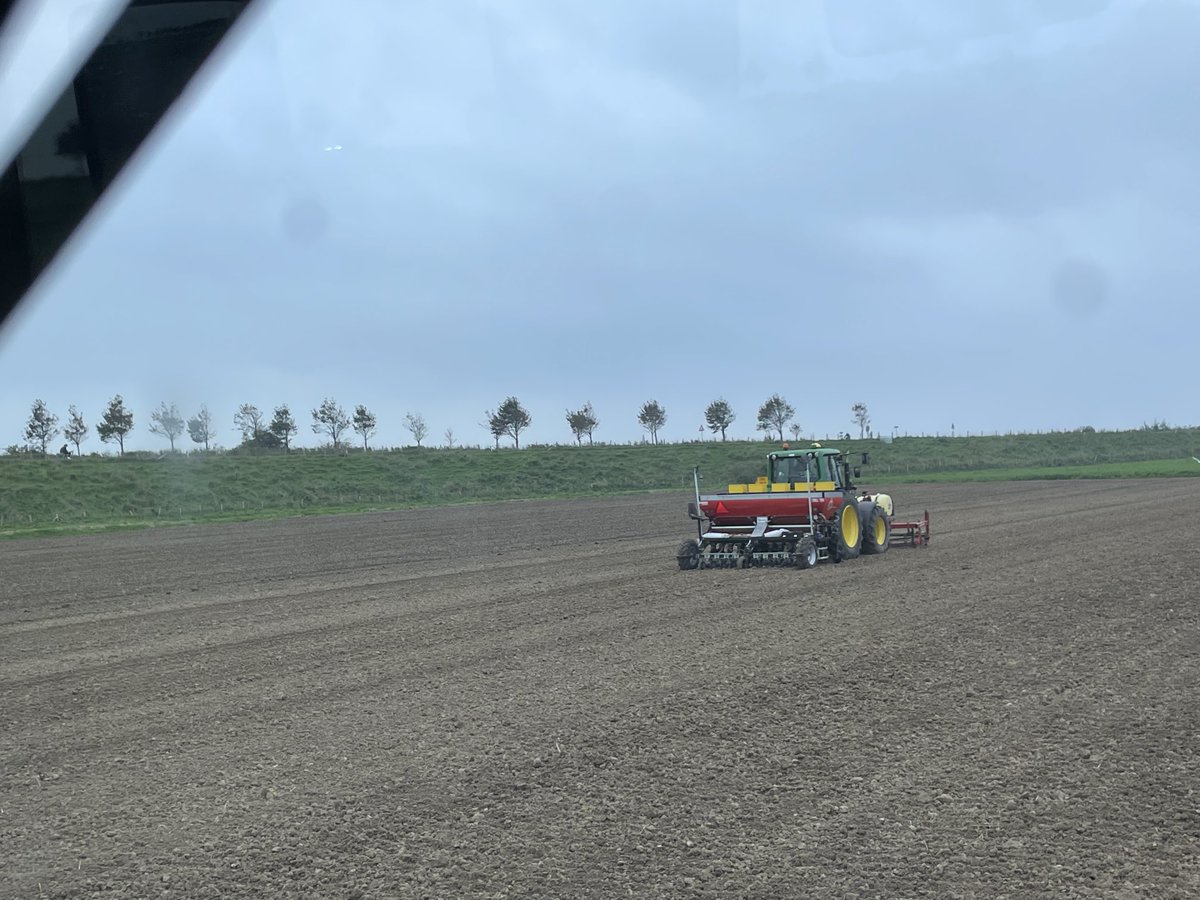 Arnold Timmerman tweet media