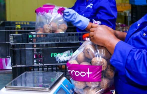 Currently preparing locally sourced produce for overnight dispatch at one of our packhouses. We assemble, sort, select, and package produce for markets, with a minimum of delay and waste.

#Agribusiness
#MarketFacilitation