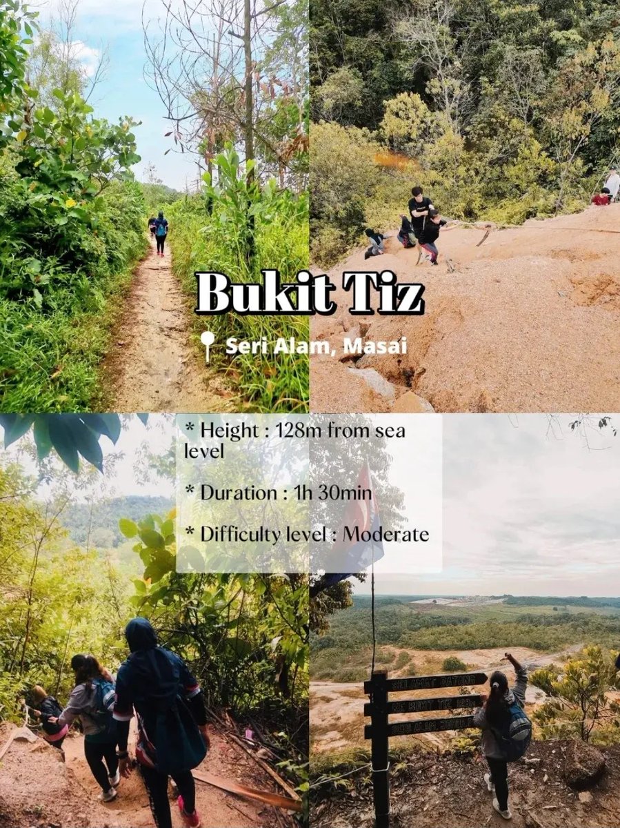 adda2644's tweet photo. 4- 📍Bukit Tiz, Seri Alam.
 
popular bg beginner kat Johor ni. Route agk mncbar. Laluan kbun getah &amp; tnh mrh. Jgn lpa bgmbr kt kwsn tnh mrh nti. Cantik!Oh ye, dlm bukit tiz tu ada batu brtenggek! Ajaib!
Laluan yg sma blh pgi ke 3 tpt. (bukit tiz, tasik 3 beradik &amp; air trjun ratu) https://t.co/GMR9YuxjgZ