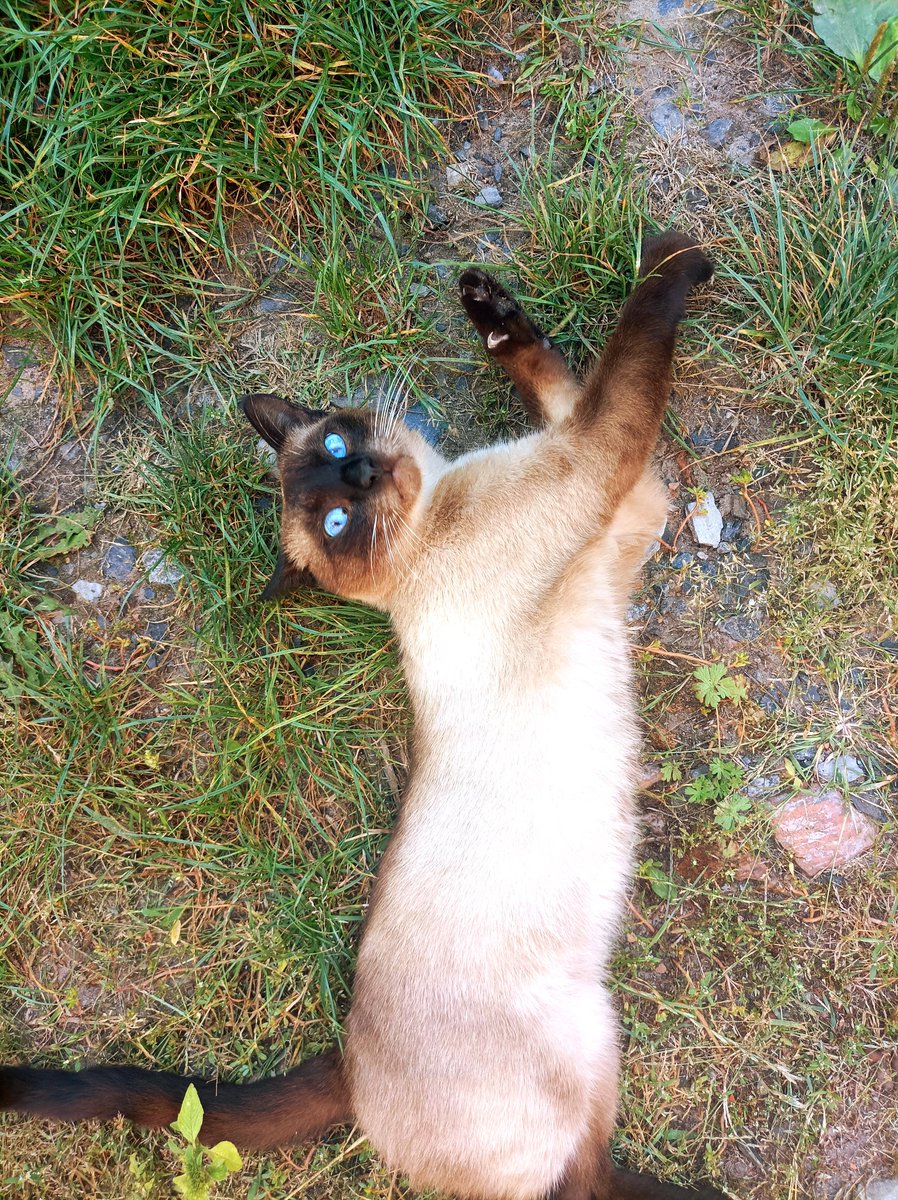 Good morning beautiful people 😘🌞