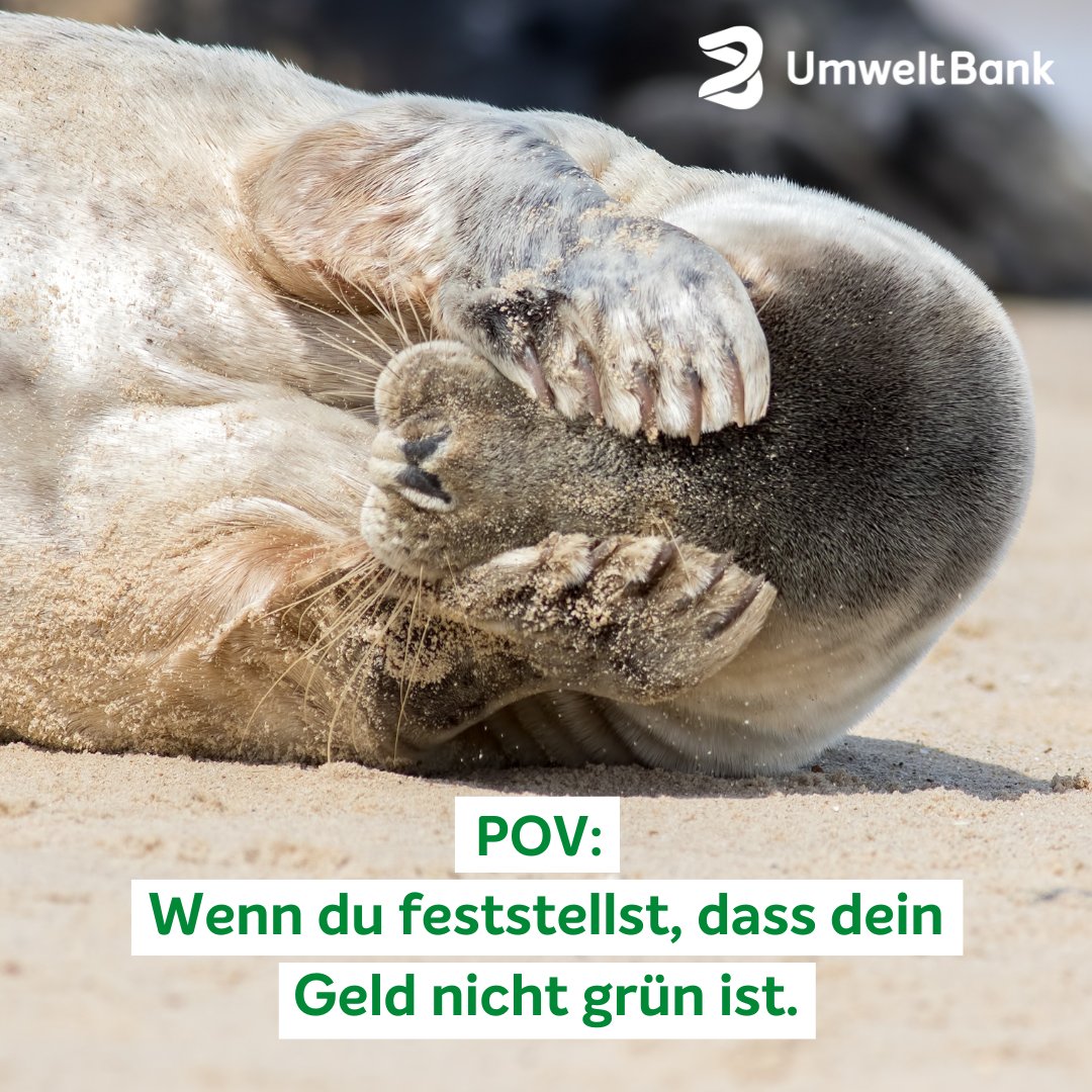 Damit du nicht die Robbe machen musst: Wenn auch du dein Geld nicht nur irgendwo anlegen, sondern wirklich nachhaltig investieren willst, komm zur UmweltBank.💚🌱

➡️ umweltbank.de/wandel