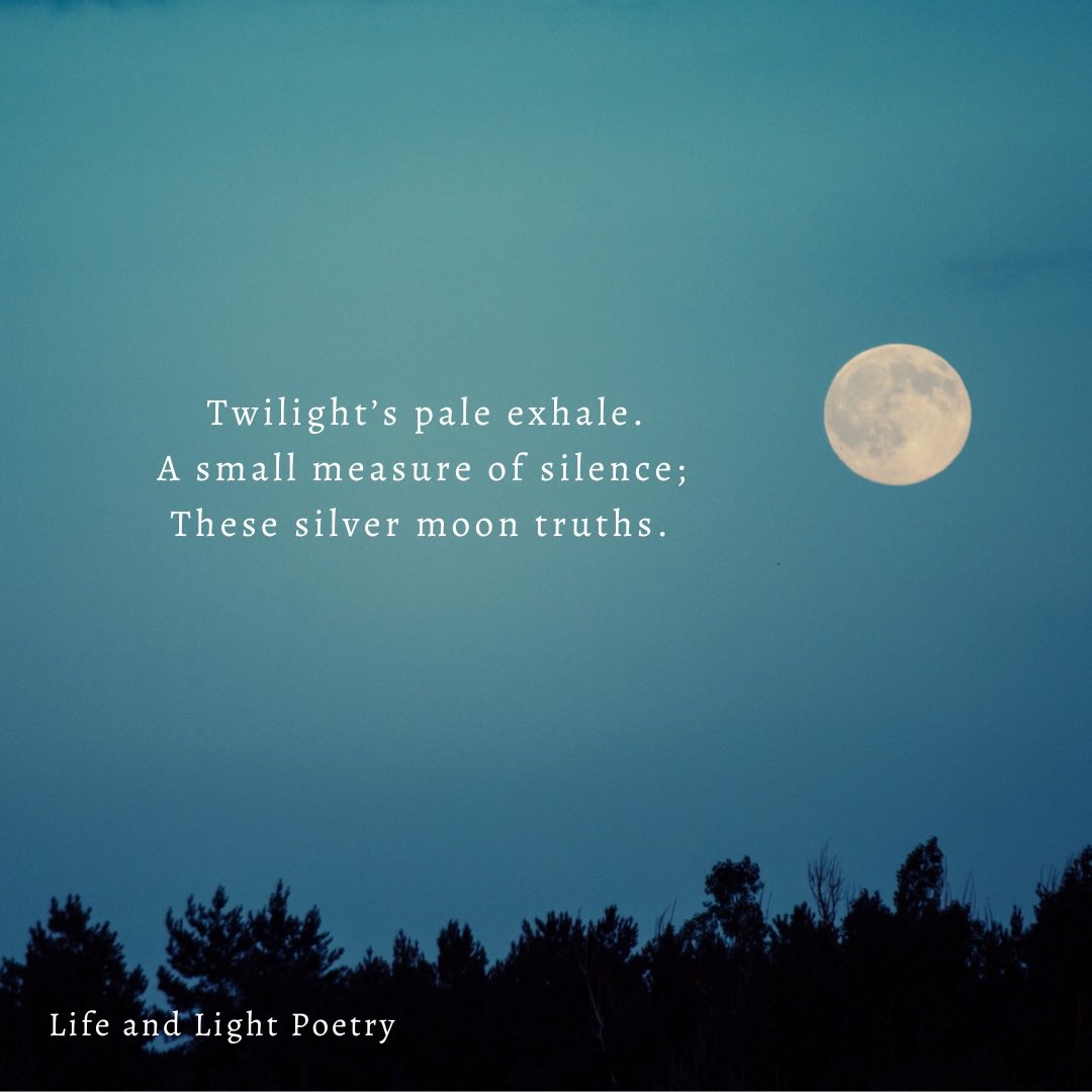 epaget31's tweet photo. A haiku entitled ‘Measure’ 

My debut poetry collection 
‘The Weight of Missing’ is out now

https://t.co/nEFED0CEtA

#PoemADay #poetrycommunity #womenwriter #poets #haiku #writing #silvermoon #poemsforyou https://t.co/4nagTLpXyQ