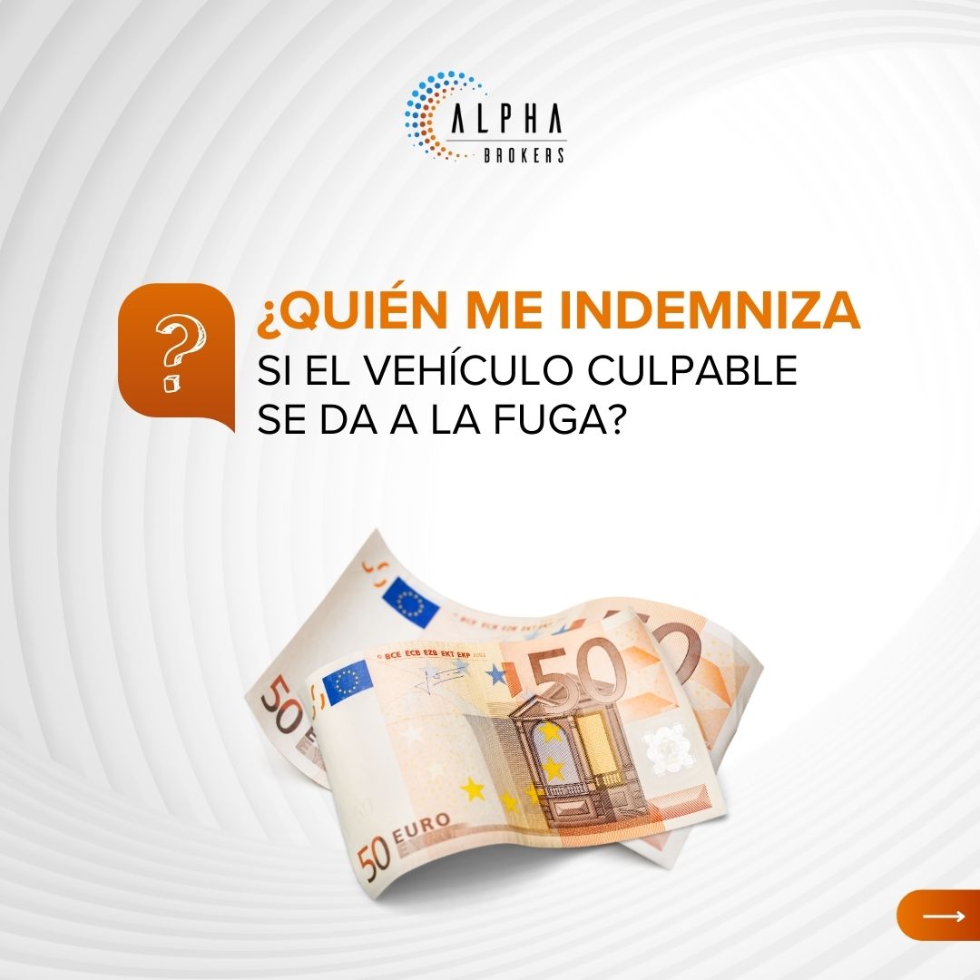 alphabrokers_es's tweet photo. ¿Quién me indemniza si el vehículo culpable se da a la fuga? https://t.co/NJuafawlFi