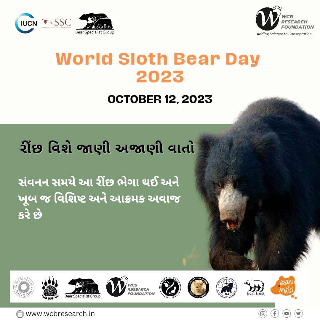 #5 Some unknown facts of sloth bear 
<a href="/BearTrust/">Bear Trust International</a>
<a href="/GujForestDept/">GujaratForestDept</a>
<a href="/IUCNssc/">IUCN Species Survival Commission</a>
<a href="/RemembrWildlife/">Remembering Wildlife</a>
<a href="/bearbiology/">Jennifer Richardson👄♀</a>
<a href="/Berenbos/">Bears in Mind</a>

#worldslothbearday 
#Slothbear #bears 
#wildlife