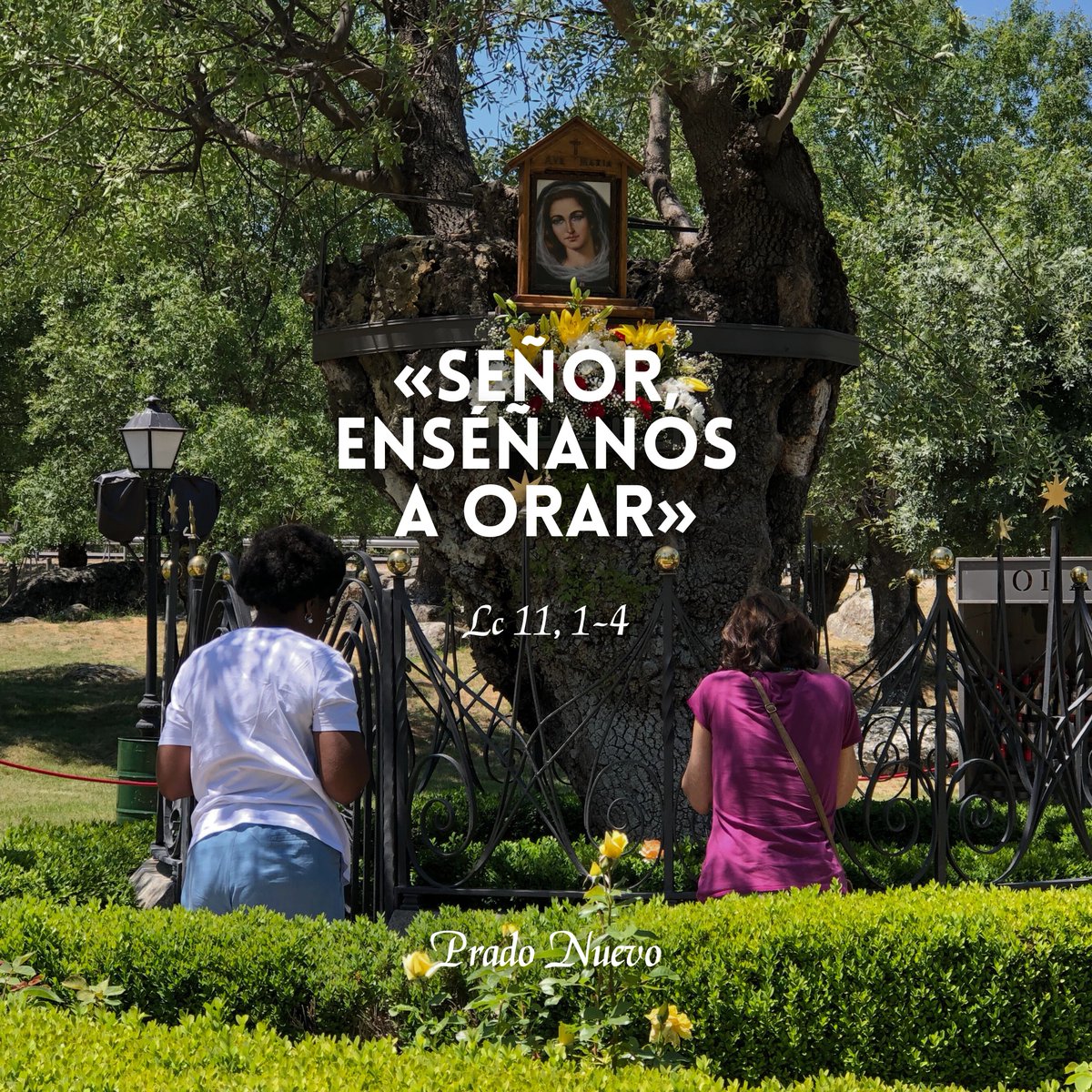 «Señor, enséñanos a orar» (Lc 11, 1-4).      

#EvangeliodeHoy #EvangeliodelDía #Oración #11deOctubre #Octubre #Miércoles #SanJuanXXIII #VirgendeBegoña