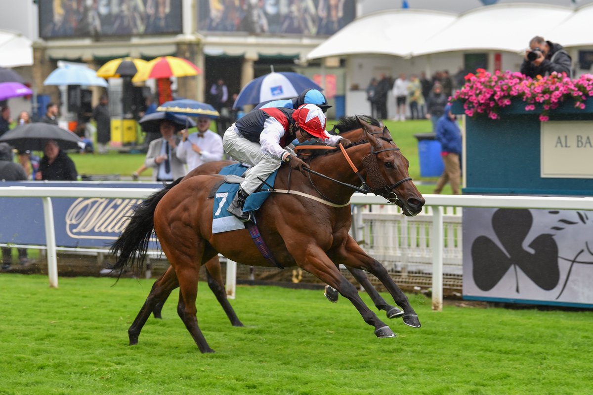 🗣️“York has always been our favourite racecourse and to have a horse that can win there is brilliant in itself; to have one that has won seven times there is incredible.' Sprint ace Copper Knight entered for his own race this Friday👉bit.ly/3tlQPRM