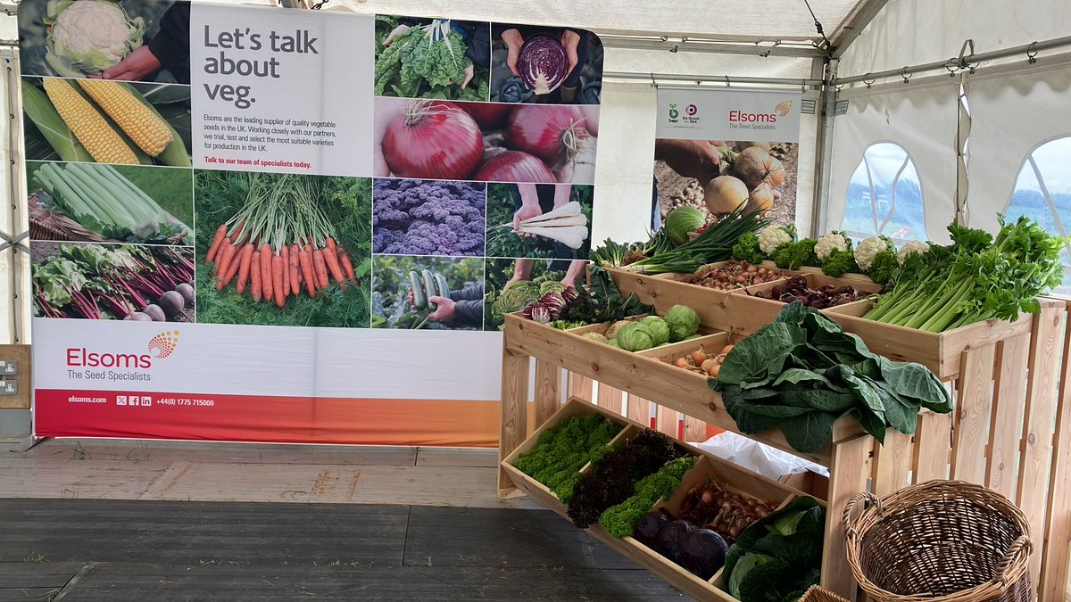 David Coop (@davidcoop2017) on Twitter photo It’s <a href="/Elsomsseeds/">Elsoms Seeds</a> open day today. Some great #vegetables displays by our team for customers to see the harvested crops, and to compliment the many amazing outdoor veg plots. It’s <a href="/Elsomsseeds/">Elsoms Seeds</a> open day today. Some great #vegetables displays by our team for customers to see the harvested crops, and to compliment the many amazing outdoor veg plots.
