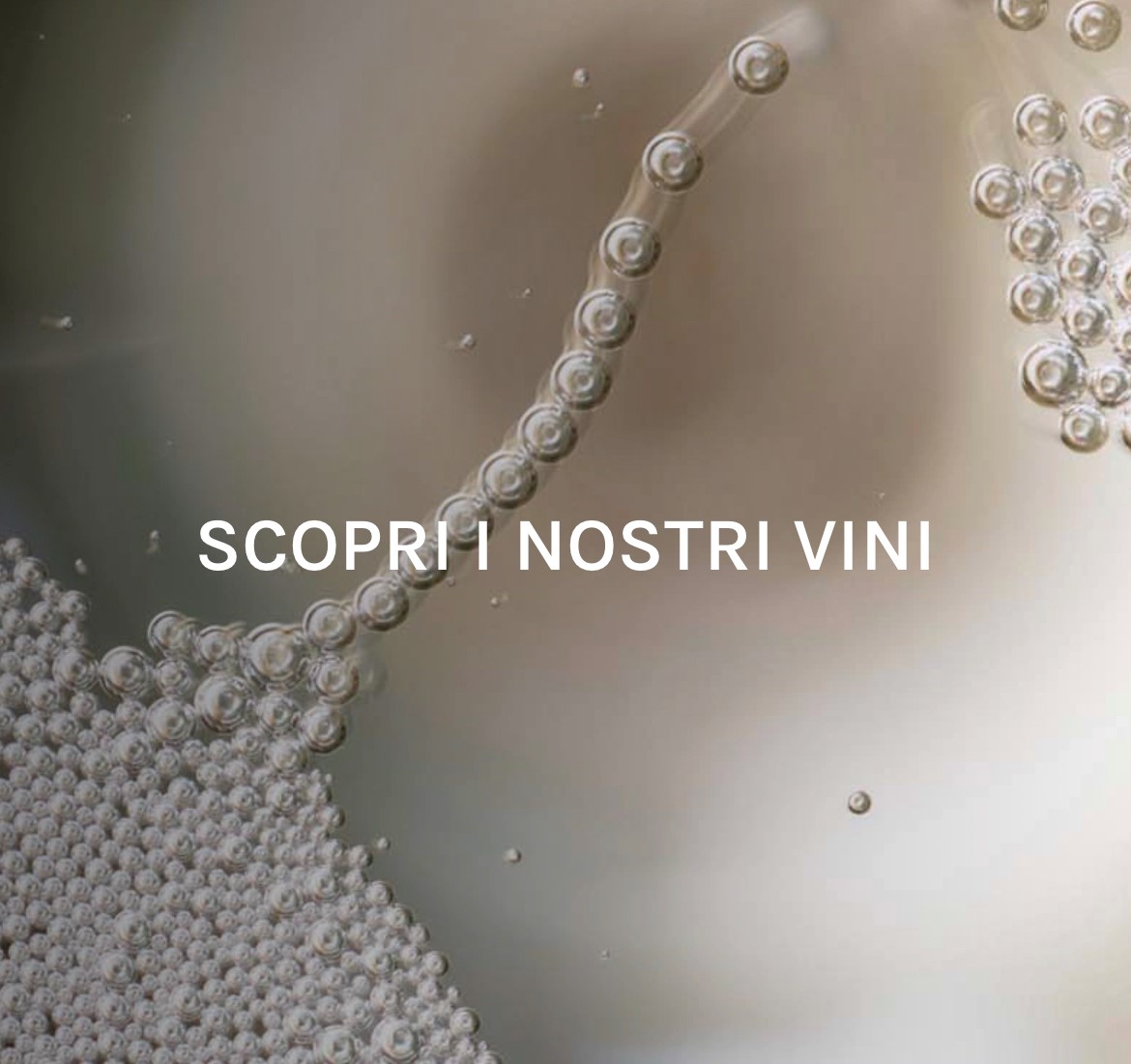 #ColVetoraz offre una proposta completa per comprendere in profondità l'unicità dei #ValdobbiadeneDOCG. Scopriteli qui: shop.colvetoraz.it/at/eur/it