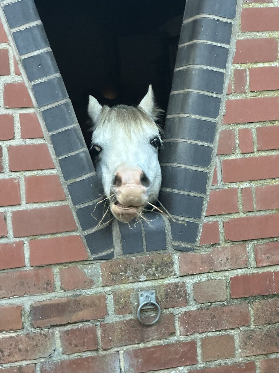 Someone’s happy!!!!