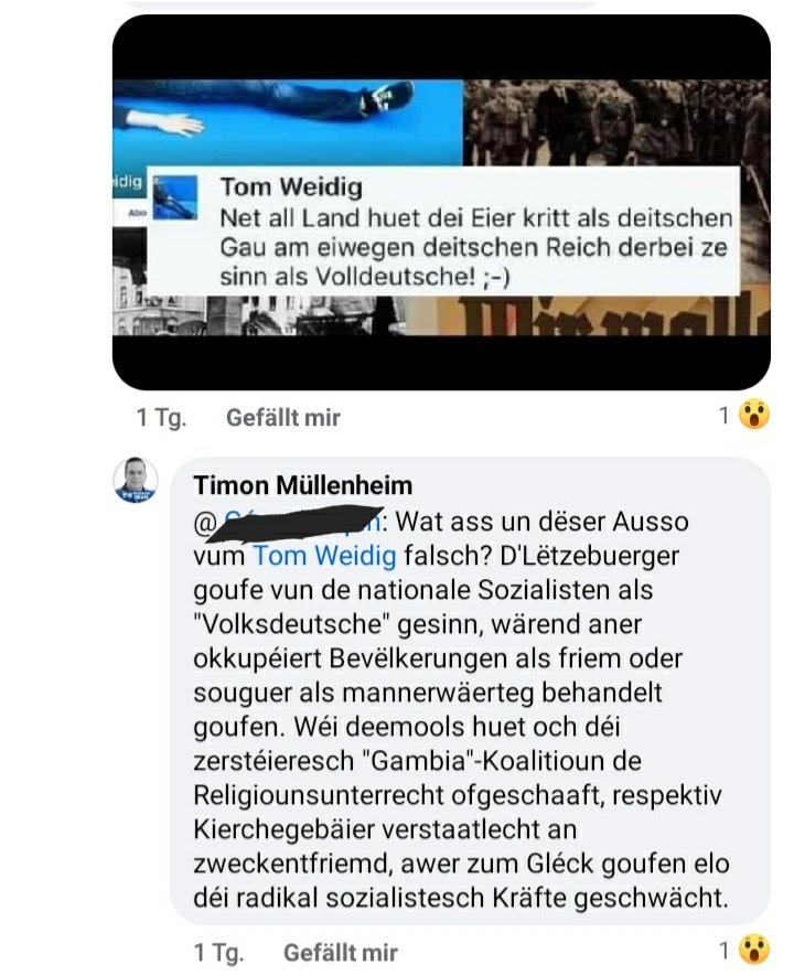 Den <a href="/Timon_lu/">Timon Müllenheim</a> leeft rem zu däitschnationalistescher héichform op an kënnt sengem kolleg pumba <a href="/TomWeidig/">Tom Weidig</a> zur hëllef deen souguer an rietsen kreesen schon an kritik gereit...