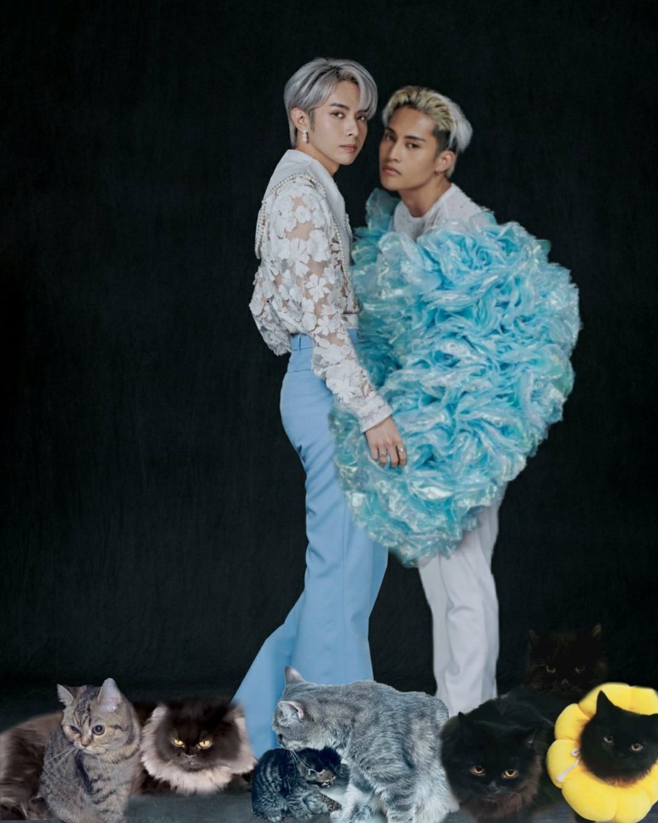 deysisyete_'s tweet image. hapi pawday #KURSE babies!

#KENTIN