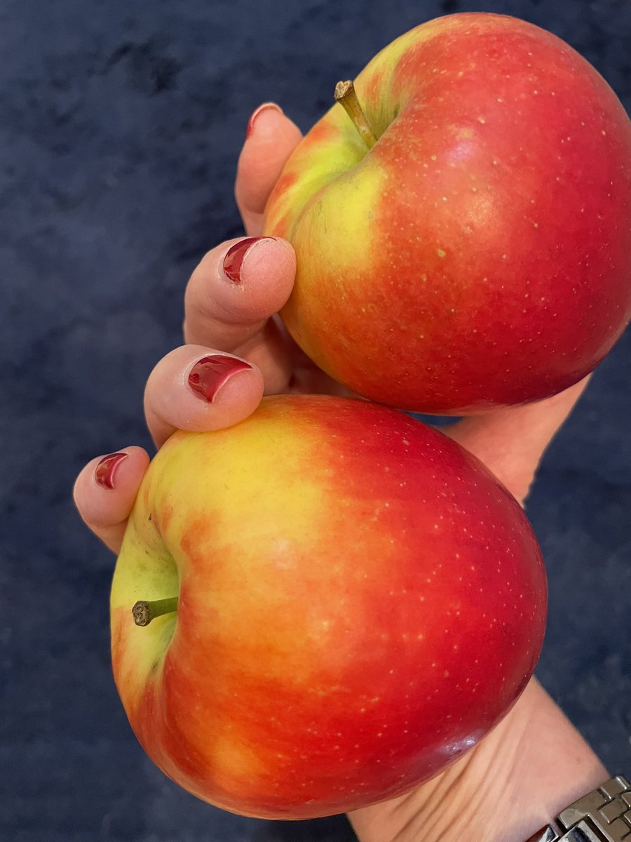 Thank you <a href="/MistressChloeNY/">MISTRESS CHLOE — NYC DOMINATRIX</a> for the delicious  #Crimsoncrisp apples 
#BFF #apples #handpicked #domlife